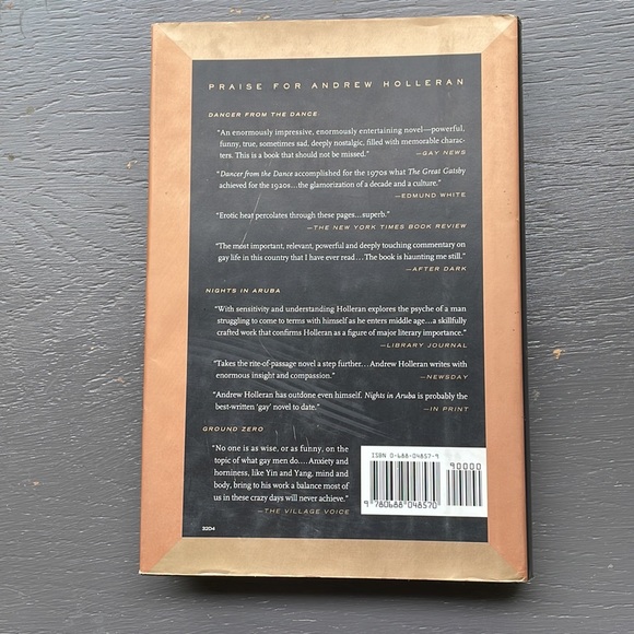 Book for sale, , Andrew Holleran, the beauty of men, gay men’s interest - Picture 3 of 5